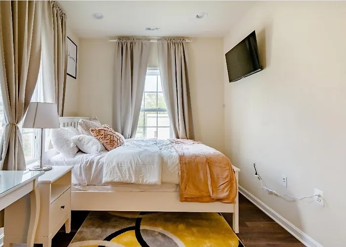 Luxurious And Cheerful Room In Washington Dc